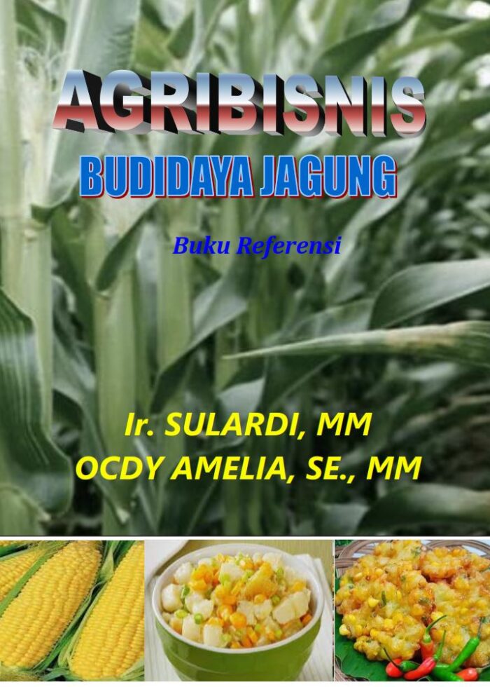 Agribisnis Budidaya Jagung